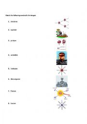English Worksheet: Science terms matching activity