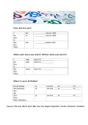 English Worksheet: When were you born