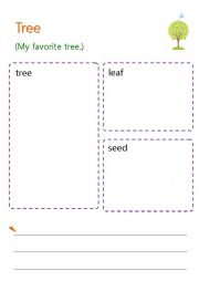 Describe the tree