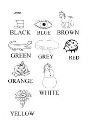 English Worksheet: Colour