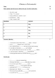 Mock Exam -Questions and fill in have/has got + possessives (elementary)