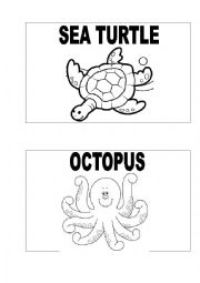 English Worksheet: Sea Animals 1/1