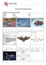 English Worksheet: Sound and Echolocation