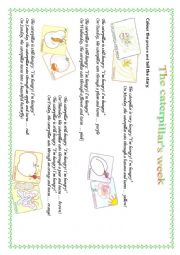 English Worksheet: The caterpillars week