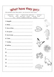 English Worksheet: What Have They Got?