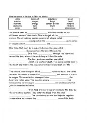 English Worksheet: Circulatory system