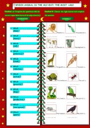 English Worksheet: animals and superlative adjectives