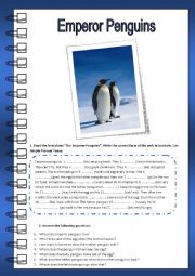 Emperor Penguins (Reading)