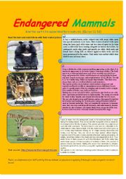 English Worksheet: endangered mammals