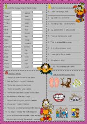 English Worksheet: singular and plural 