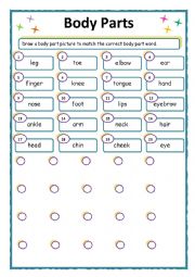 English Worksheet: Body Parts