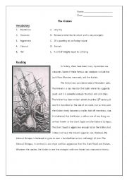 English Worksheet: The Kraken