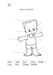 English Worksheet: Parts of the body