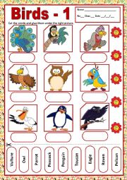 English Worksheet: BIRDS 1 - MATCHING