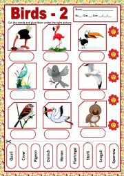 English Worksheet: BIRDS 2 - MATCHING