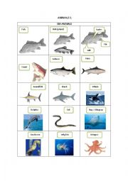 English Worksheet: ANIMALS 1