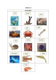 English Worksheet: ANIMALS 2