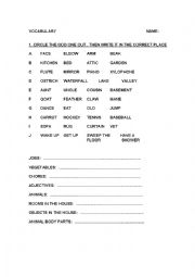 English Worksheet: VOCABULARY ON MANY THINGS