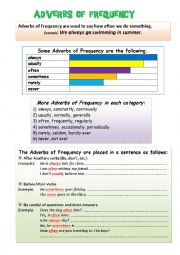 English Worksheet: frequency adverbs