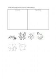 English Worksheet: Vertebrate and invertebrate