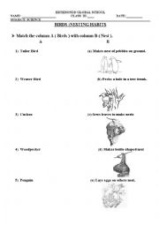 English Worksheet:  BIRDS NESTING HABBITS