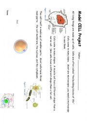 English Worksheet: Animal Cell Model Project