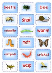 Creepy Crawly Matching Cards 1