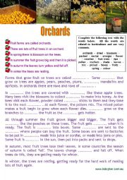 English Worksheet: Orchards (Special Farms) Cloze