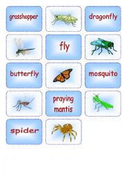 English Worksheet: Creepy Crawly Matching Cards 3