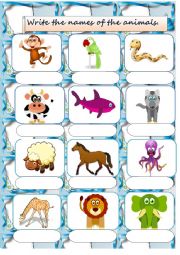 English Worksheet: Animals