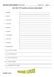 English Worksheet: wh animal questions
