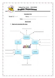 animal graphic organizer