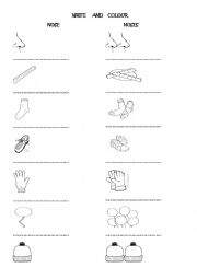 English Worksheet: singulars and plurals