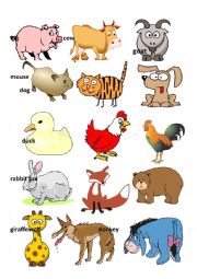 English Worksheet: Animals