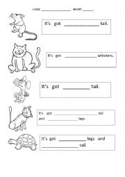 English Worksheet: long-short