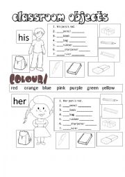 English Worksheet: his her