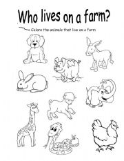 English Worksheet: Farm animals