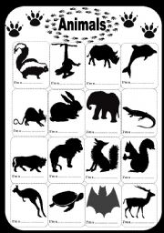 English Worksheet: animals