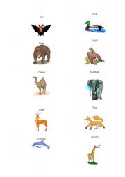 English Worksheet: Animals