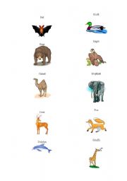 English worksheet: Animals