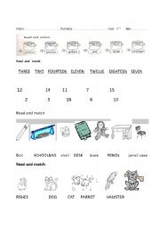 English Worksheet: test about school  number  colour  pets