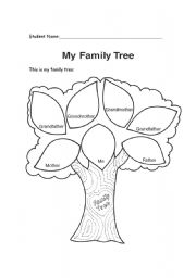 English Worksheet: Family Tree