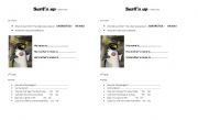 English Worksheet: SURFS UP- video segment