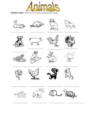 English worksheet: animal vocabulary