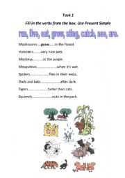 English worksheet: Present simple positive and do/does questions