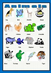 English Worksheet: My first Engish pictionary - 3 - animals