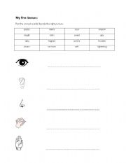 English Worksheet: Sense Organs