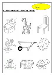 English Worksheet: living and non-living things