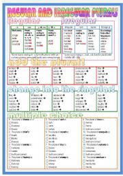 Regular and Irregular Plurals