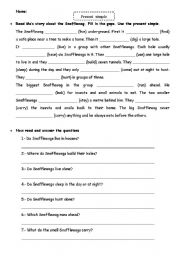 English Worksheet: Present Simple